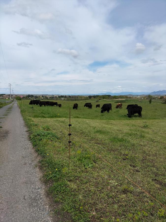 Rod Ranch Livestock - Appartamento Con Camino E Vista Piscina Campagnano Di Roma Exteriör bild