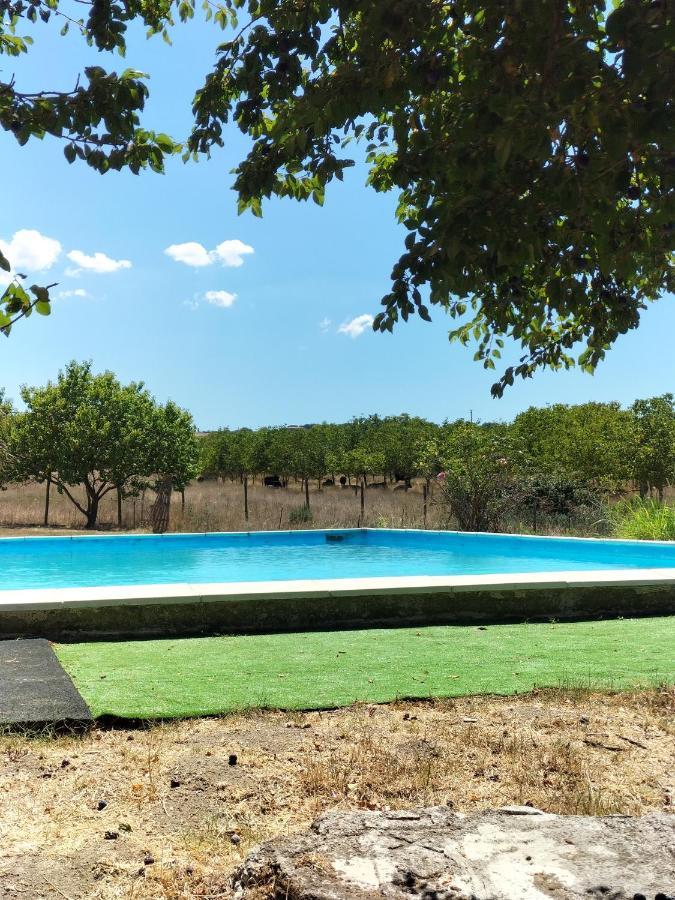 Rod Ranch Livestock - Appartamento Con Camino E Vista Piscina Campagnano Di Roma Exteriör bild